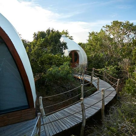 Wild Coast Tented Lodge Яла Экстерьер фото